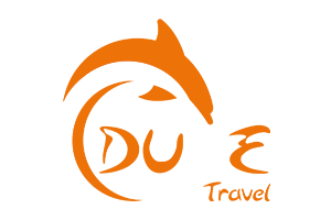 Dune Travel logo