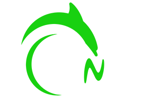 Dune Mexico logo